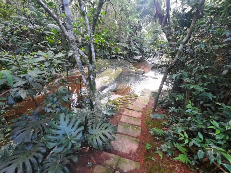 Casa à venda em Fazenda Inglesa, Petrópolis - RJ - Foto 26