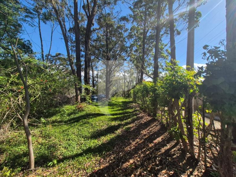 Terreno Residencial à venda em Itaipava, Petrópolis - RJ - Foto 4