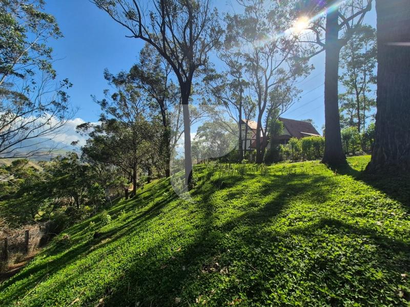 Terreno Residencial à venda em Itaipava, Petrópolis - RJ - Foto 7