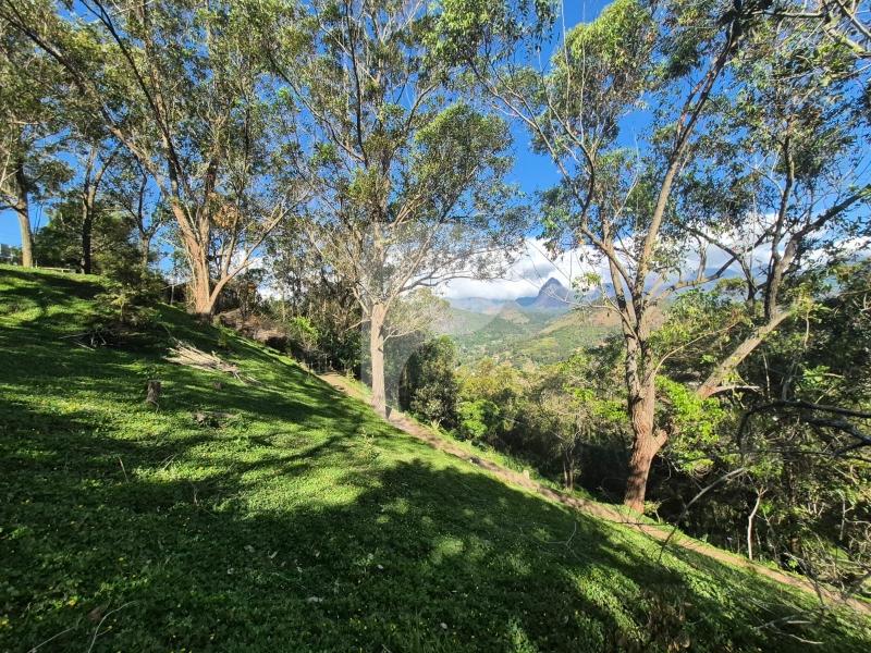 Terreno Residencial à venda em Itaipava, Petrópolis - RJ - Foto 10