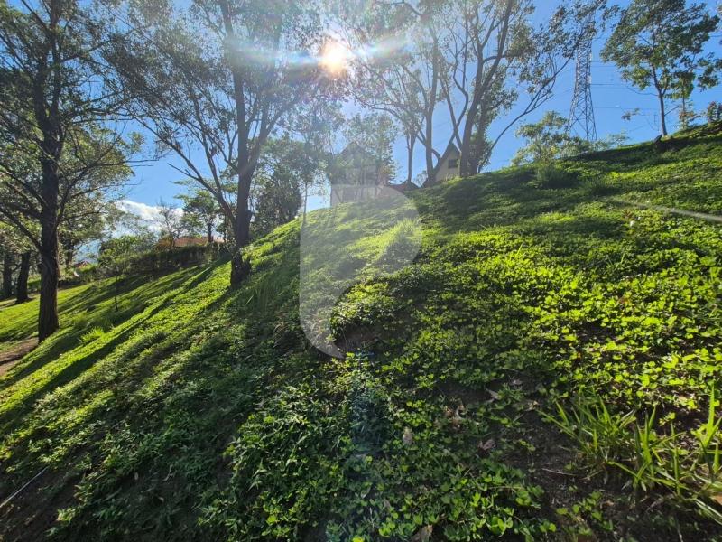 Terreno Residencial à venda em Itaipava, Petrópolis - RJ - Foto 12