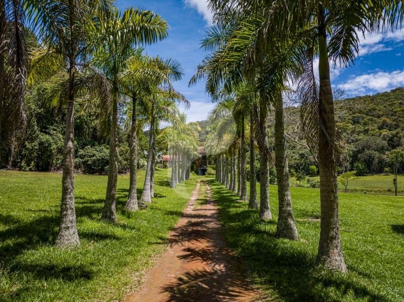 Fazenda / Sítio à venda em Posse, Petrópolis - RJ - Foto 5