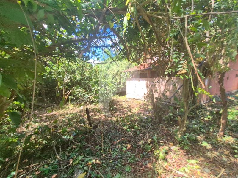 Terreno Comercial à venda em Itaipava, Petrópolis - RJ - Foto 10