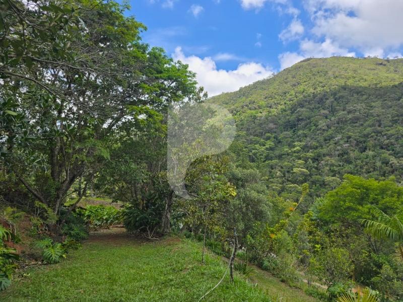 Terreno Residencial à venda em Vale das Videiras, Petrópolis - RJ - Foto 3