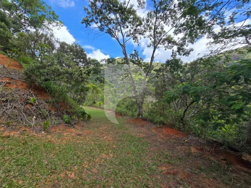 Terreno Residencial à venda em Vale das Videiras, Petrópolis - RJ - Foto 4