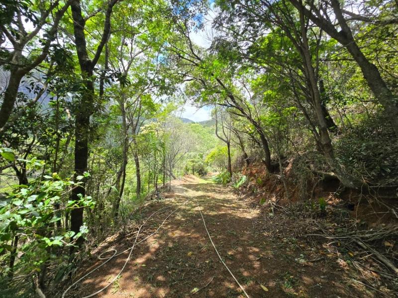 Terreno Residencial à venda em Vale das Videiras, Petrópolis - RJ - Foto 5