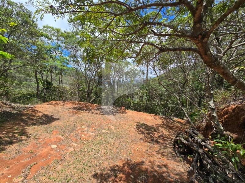 Terreno Residencial à venda em Vale das Videiras, Petrópolis - RJ - Foto 6