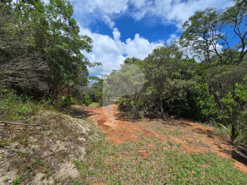 Terreno Residencial à venda em Vale das Videiras, Petrópolis - RJ - Foto 7