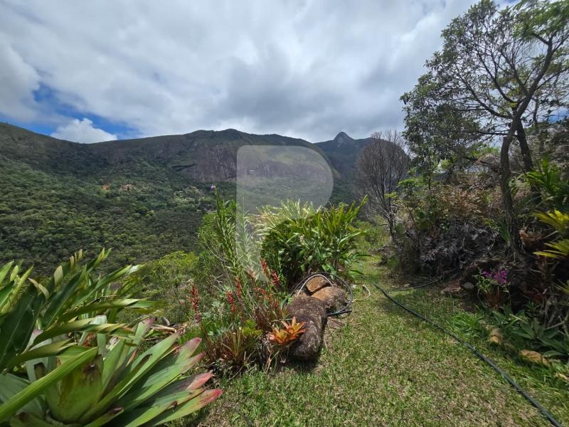 Terreno Residencial à venda em Vale das Videiras, Petrópolis - RJ - Foto 11