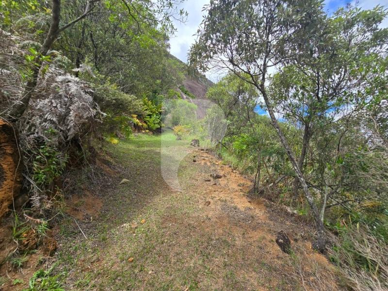 Terreno Residencial à venda em Vale das Videiras, Petrópolis - RJ - Foto 12