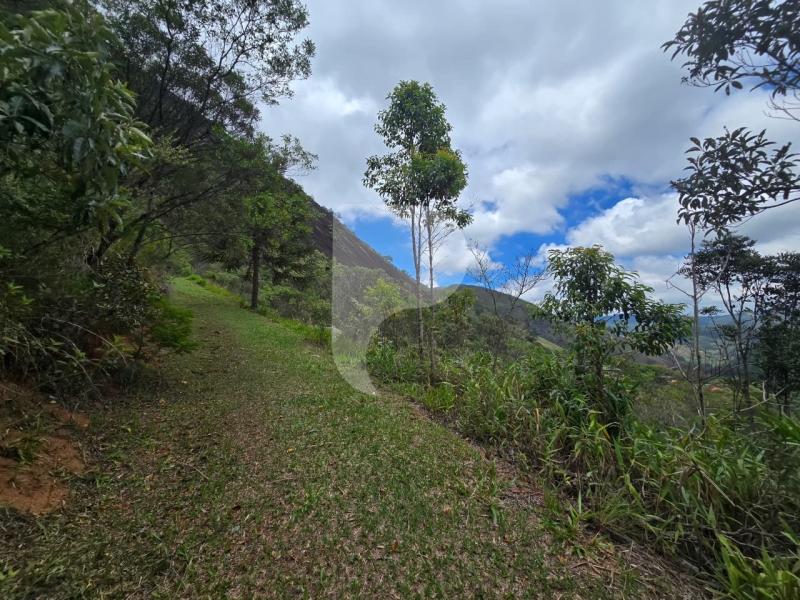 Terreno Residencial à venda em Vale das Videiras, Petrópolis - RJ - Foto 13