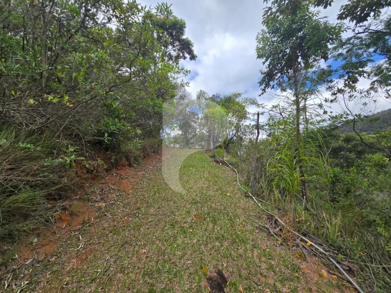 Terreno Residencial à venda em Vale das Videiras, Petrópolis - RJ - Foto 14
