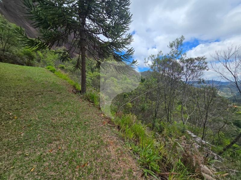 Terreno Residencial à venda em Vale das Videiras, Petrópolis - RJ - Foto 16