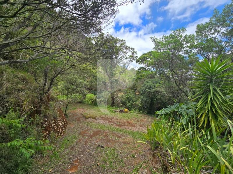 Terreno Residencial à venda em Vale das Videiras, Petrópolis - RJ - Foto 18
