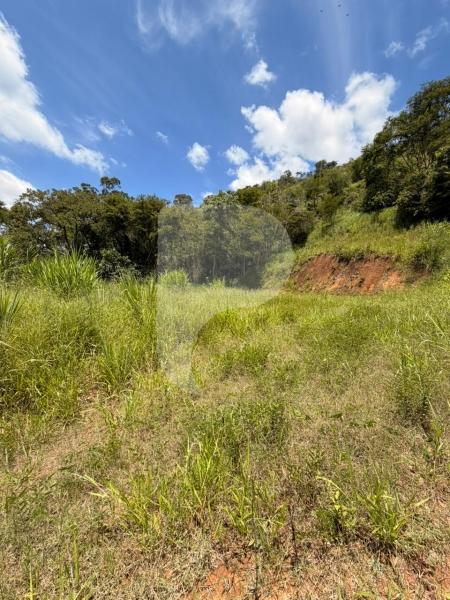 Terreno Comercial à venda em Itaipava, Petrópolis - RJ - Foto 6