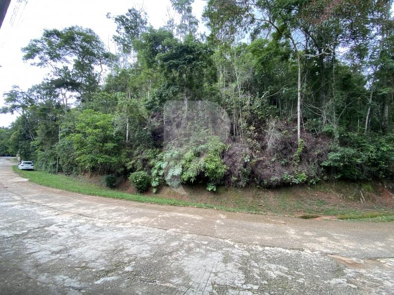 Terreno Residencial à venda em Nogueira, Petrópolis - RJ - Foto 3