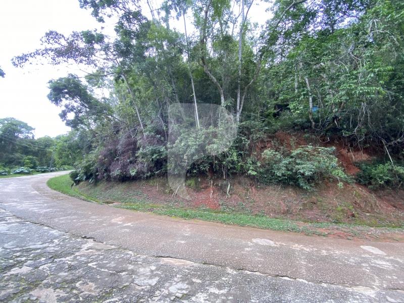 Terreno Residencial à venda em Nogueira, Petrópolis - RJ - Foto 5