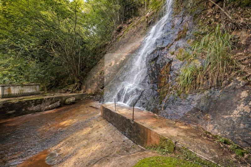 Casa à venda em Pedro do Rio, Petrópolis - RJ - Foto 35