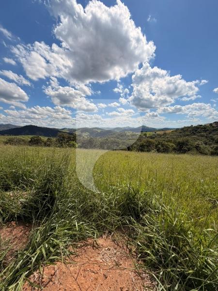 Terreno Residencial à venda em Centro, Areal - RJ - Foto 1