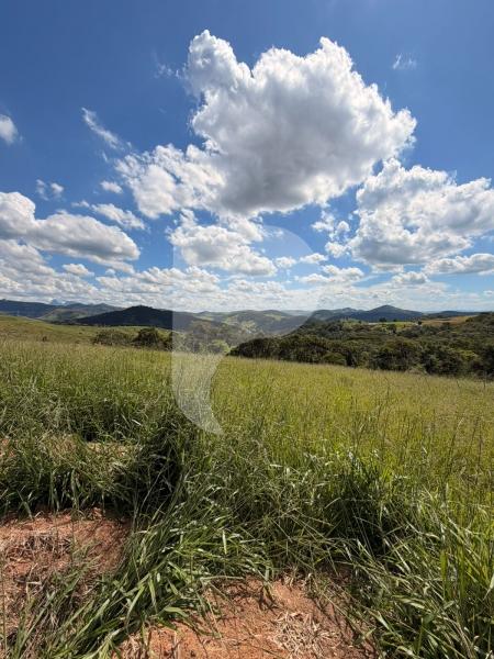 Terreno Residencial à venda em Centro, Areal - RJ - Foto 5