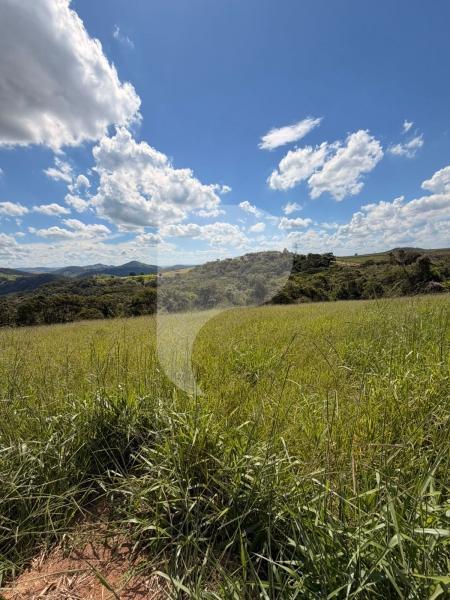 Terreno Residencial à venda em Centro, Areal - RJ - Foto 4