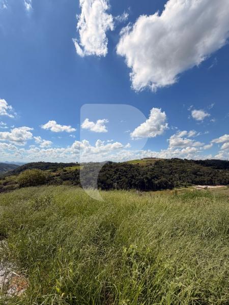 Terreno Residencial à venda em Centro, Areal - RJ - Foto 2