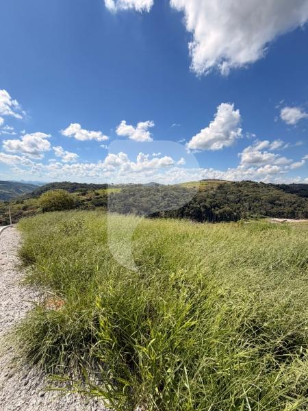 Terreno Residencial à venda em Centro, Areal - RJ - Foto 4