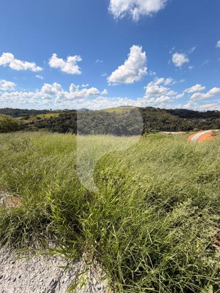 Terreno Residencial à venda em Centro, Areal - RJ - Foto 5