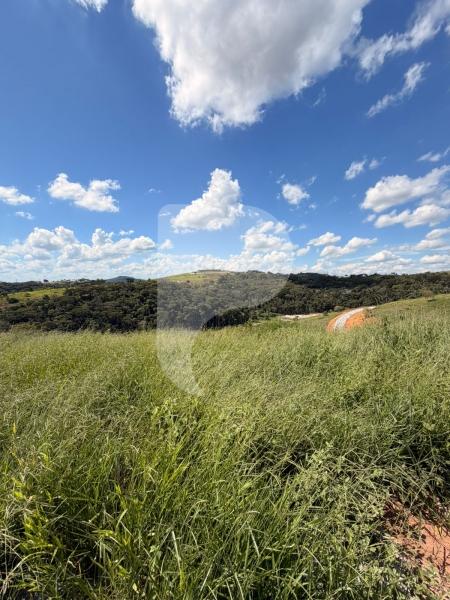 Terreno Residencial à venda em Centro, Areal - RJ - Foto 6