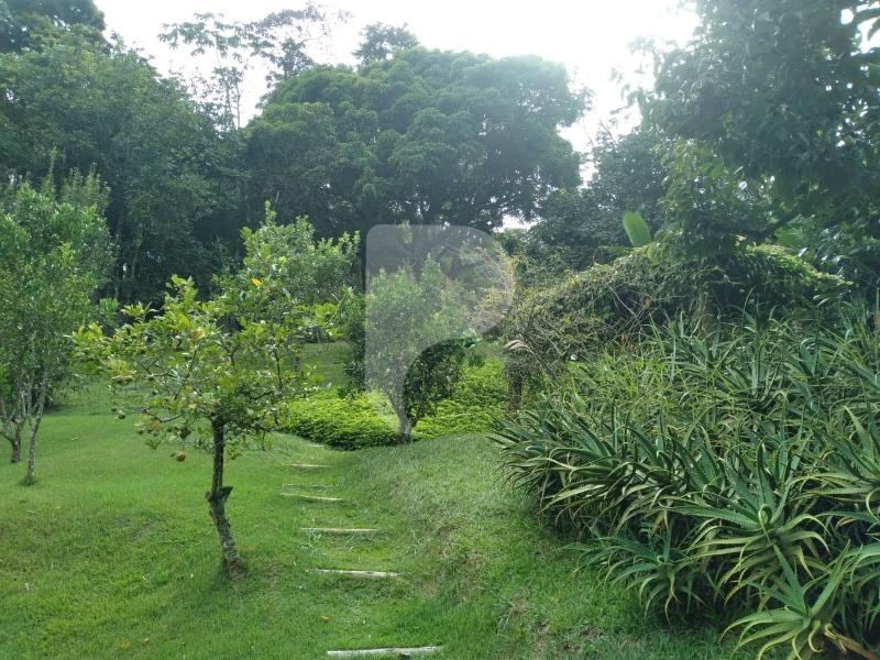 Fazenda / Sítio à venda em Posse, Petrópolis - RJ - Foto 5