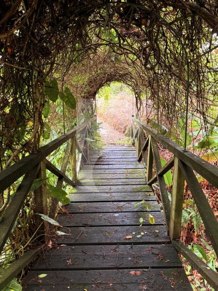 Fazenda / Sítio à venda em Posse, Petrópolis - RJ - Foto 3