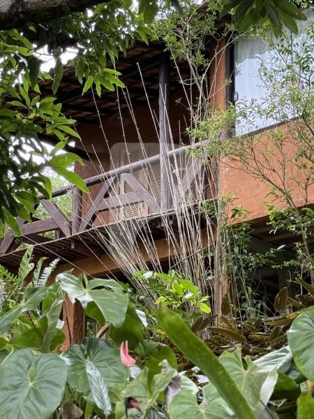 Fazenda / Sítio à venda em Posse, Petrópolis - RJ - Foto 14