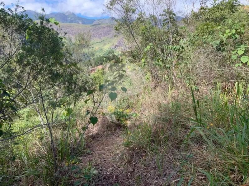 Terreno Residencial à venda em Itaipava, Petrópolis - RJ - Foto 3
