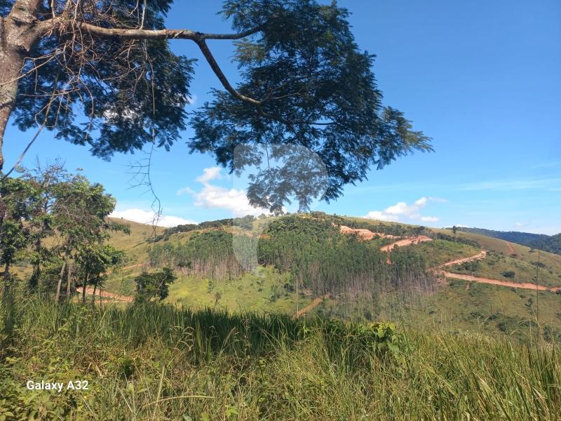 Terreno Residencial à venda em Sebollas, Paraíba do Sul - RJ - Foto 3