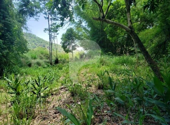 Terreno Comercial à venda em Centro, Areal - RJ - Foto 3