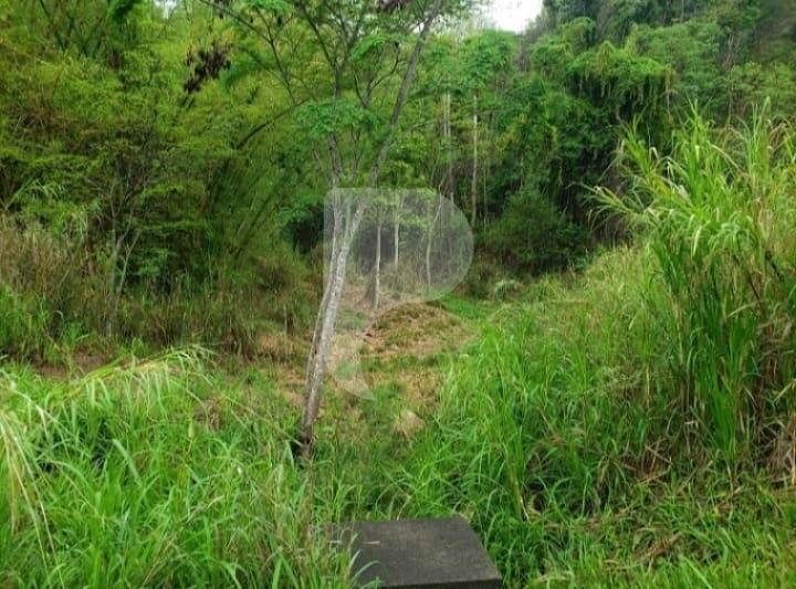 Terreno Comercial à venda em Centro, Areal - RJ - Foto 4