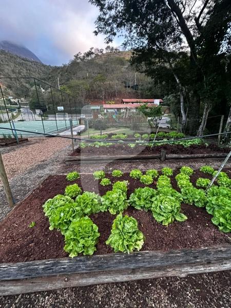 Casa para Alugar  à venda em Corrêas, Petrópolis - RJ - Foto 47