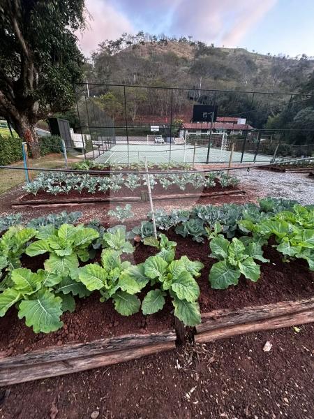 Casa para Alugar  à venda em Corrêas, Petrópolis - RJ - Foto 49