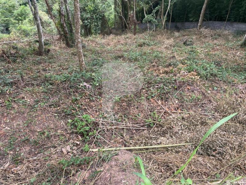 Terreno Residencial à venda em Itaipava, Petrópolis - RJ - Foto 3