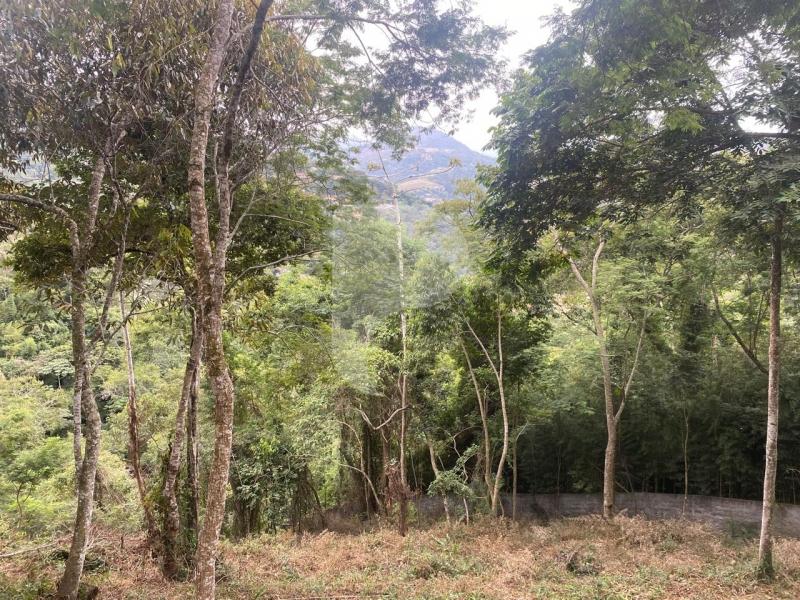Terreno Residencial à venda em Itaipava, Petrópolis - RJ - Foto 2