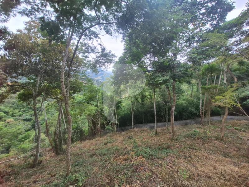 Terreno Residencial à venda em Itaipava, Petrópolis - RJ - Foto 4