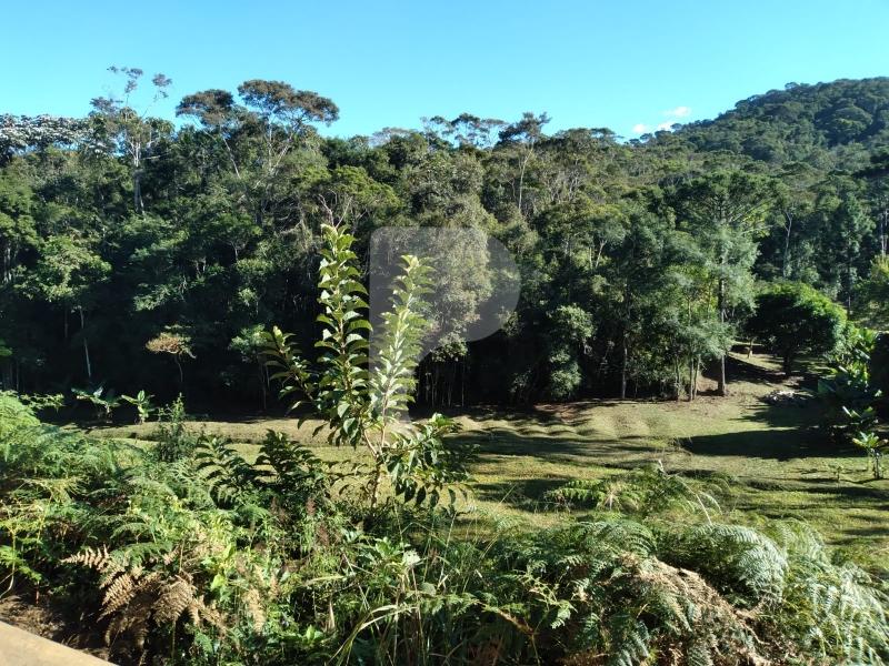 Fazenda / Sítio à venda em Brejal, Teresópolis - RJ - Foto 4