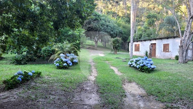 Fazenda / Sítio à venda em Brejal, Teresópolis - RJ - Foto 9