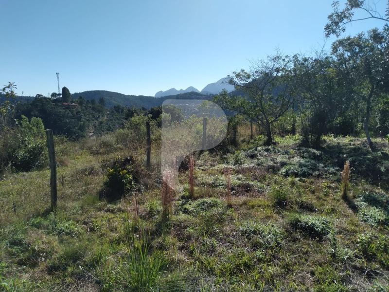 Terreno Residencial à venda em Nogueira, Petrópolis - RJ - Foto 4