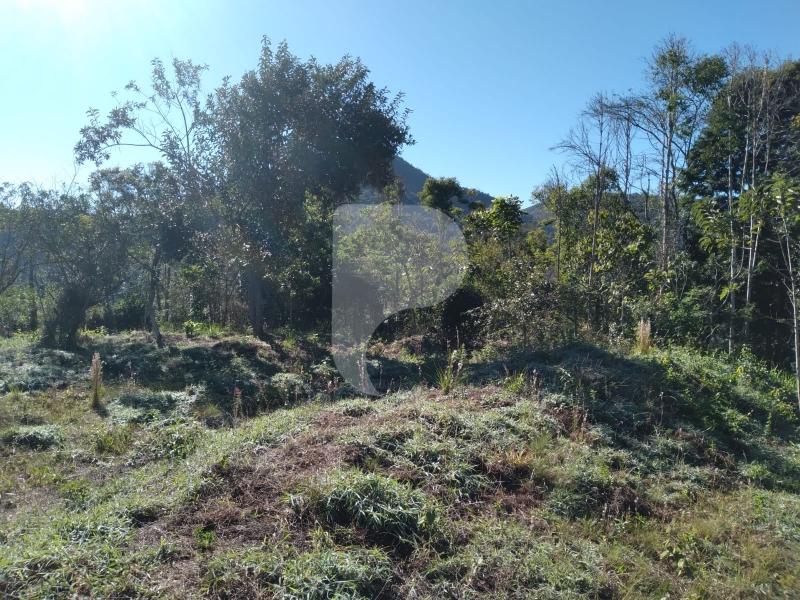 Terreno Residencial à venda em Nogueira, Petrópolis - RJ - Foto 6
