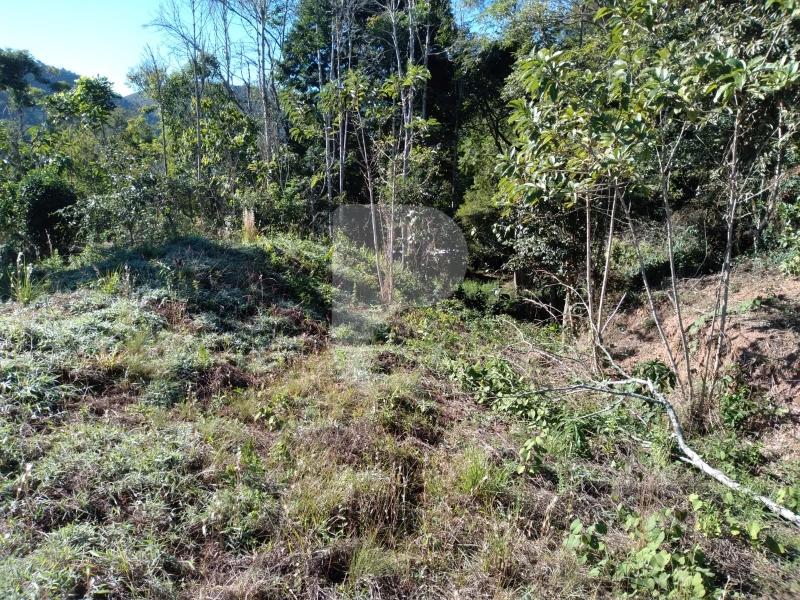 Terreno Residencial à venda em Nogueira, Petrópolis - RJ - Foto 7