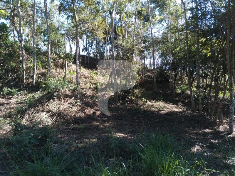Terreno Residencial à venda em Nogueira, Petrópolis - RJ - Foto 8