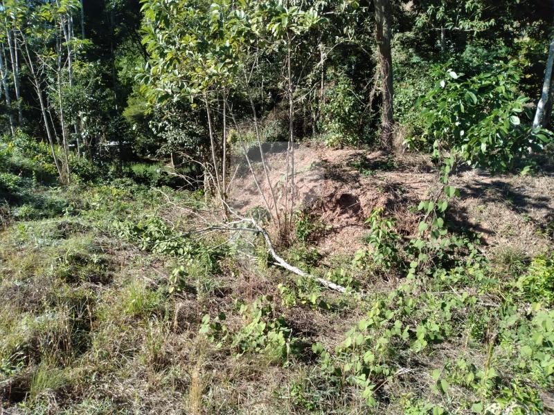 Terreno Residencial à venda em Nogueira, Petrópolis - RJ - Foto 9