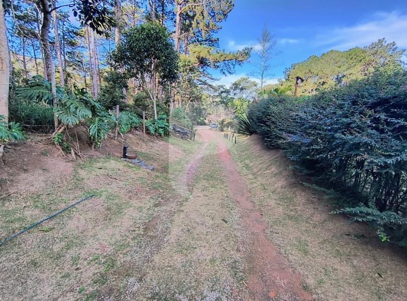 Casa à venda em Araras, Petrópolis - RJ - Foto 49