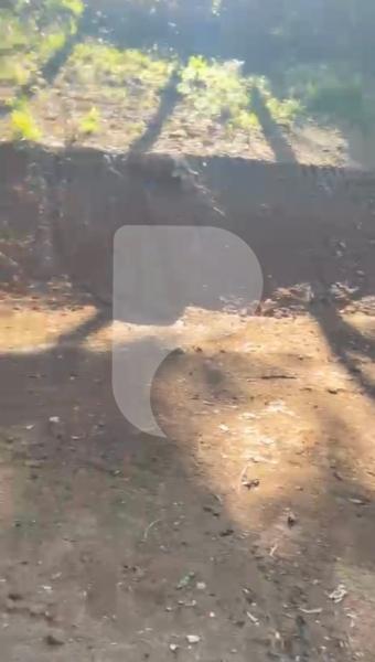 Terreno Residencial à venda em Itaipava, Petrópolis - RJ - Foto 1